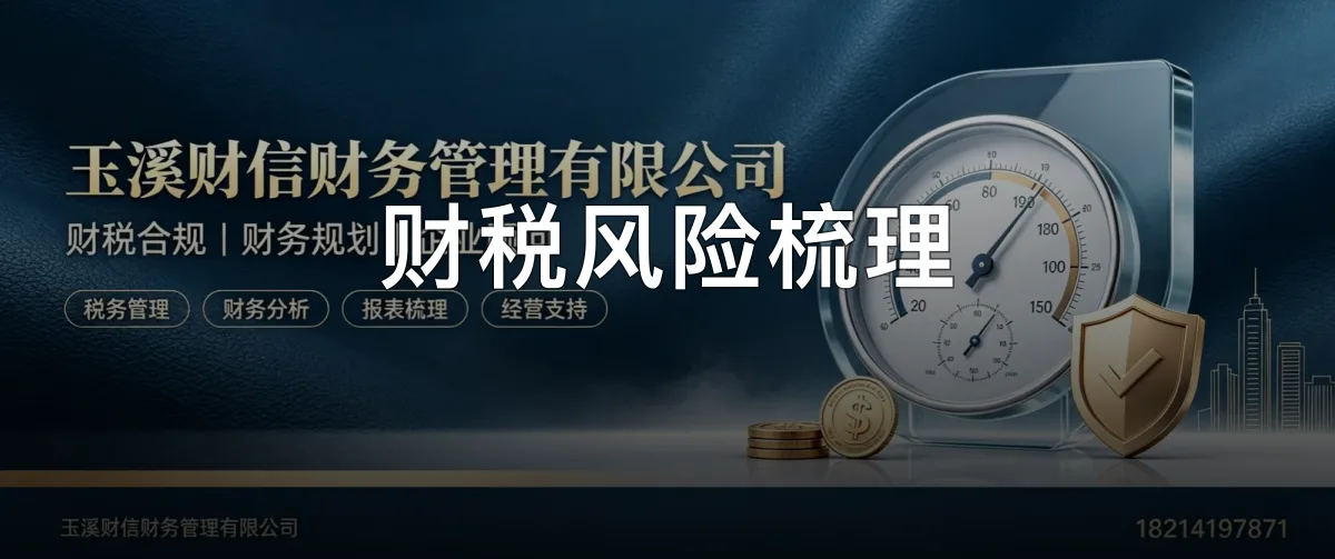 财税风险梳理 · 玉溪财信财务管理有限公司官方服务认证