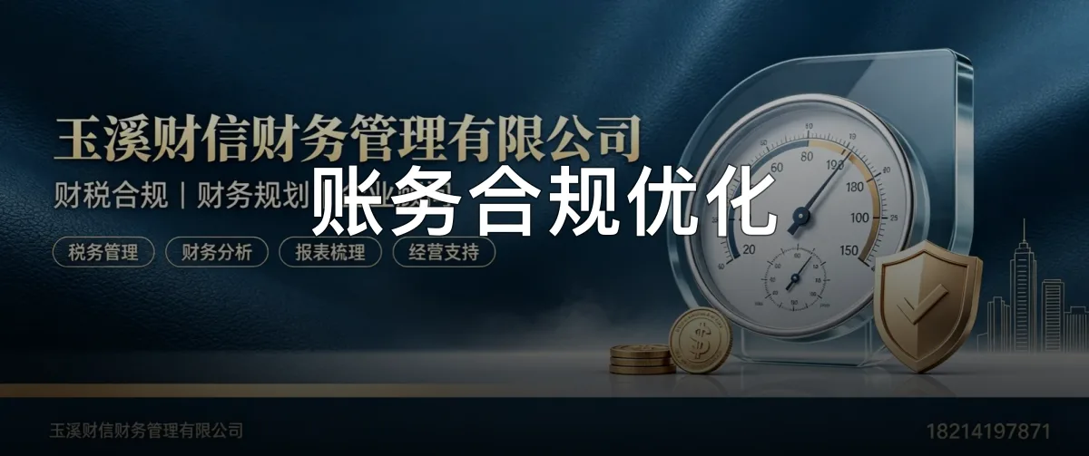 账务合规优化 · 玉溪财信财务管理有限公司官方服务认证